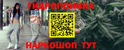 крисы Азнакаево