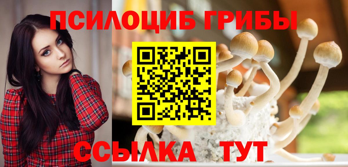 Александров  Галлюциногенные грибы Psilocybine cubensis  Псилоцибиновые грибы прущие грибы  Вход с VPN 