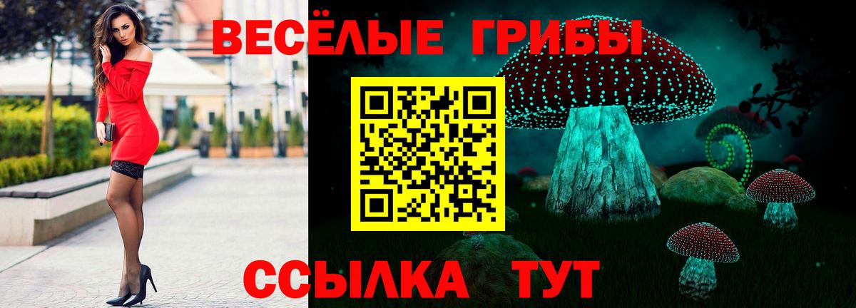 Псилоцибиновые грибы мицелий Александров